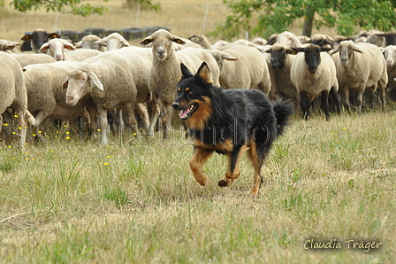 Gelbbacke / Bild 230 von 500 / 29.07.2018 10:05 / DSC_6632.JPG