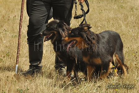 Gelbbacke / Bild 201 von 500 / 29.07.2018 13:35 / DSC_9315.JPG