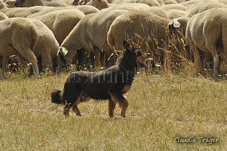 Gelbbacke / Bild 190 von 500 / 29.07.2018 14:14 / DSC_9690.JPG