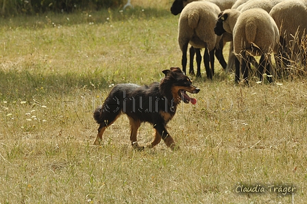 Gelbbacke / Bild 189 von 500 / 29.07.2018 14:15 / DSC_9696.JPG