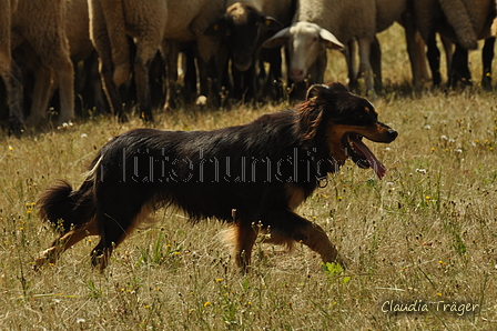 Gelbbacke / Bild 182 von 500 / 29.07.2018 14:16 / DSC_9790.JPG