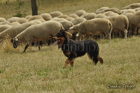 Gelbbacke / Bild 170 von 500 / 29.07.2018 14:26 / DSC_0087.JPG