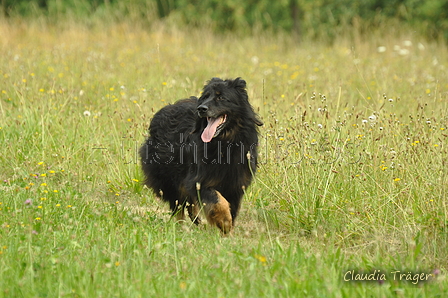 Gelbbacke / Bild 139 von 500 / 28.07.2019 11:50 / DSC_6884.JPG