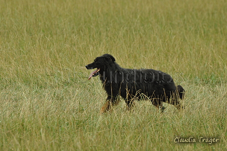 Gelbbacke / Bild 132 von 500 / 07.09.2019 10:52 / DSC_6246.JPG