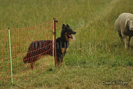 Gelbbacke / Bild 118 von 500 / 08.09.2019 10:32 / DSC_0097.JPG