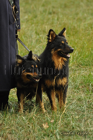 Gelbbacke / Bild 115 von 500 / 08.09.2019 10:44 / DSC_0151.JPG