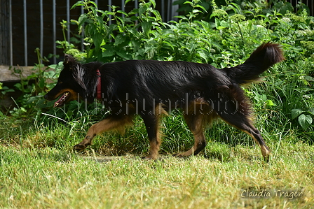 Gelbbacke / Bild 86 von 500 / 27.06.2021 10:22 / DSC_0295.JPG