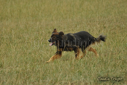 Harzer Fuchs / Bild 175 von 755 / 08.09.2019 14:39 / DSC_2321.JPG