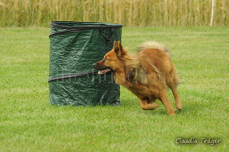 Harzer Fuchs / Bild 168 von 755 / 18.07.2020 15:55 / DSC_8418.JPG