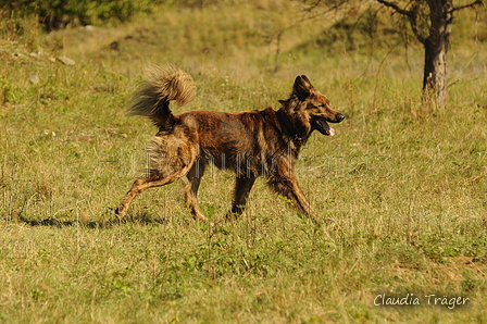 Harzer Fuchs / Bild 142 von 755 / 20.09.2020 14:40 / DSC_7371.JPG