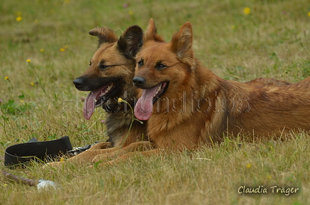 Harzer Fuchs / Bild 68 von 755 / 10.07.2022 10:45 / DSC_4125.JPG