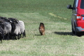 Vorschau von Bild 22 von 782