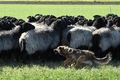 Vorschau von Bild 18 von 782