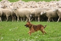 Vorschau von Bild 18 von 810