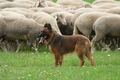 Vorschau von Bild 4 von 851