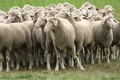 Vorschau von Bild 8 von 637