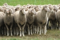 Vorschau von Bild 7 von 641