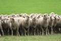 Vorschau von Bild 4 von 637