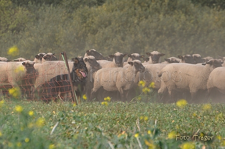 AAH Bundeshüten 2014 / Bild 53 von 175 / 20.09.2014 14:58 / DSC_4293.JPG