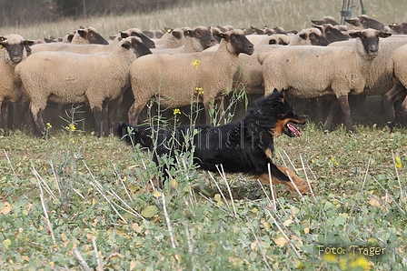 AAH Bundeshüten 2014 / Bild 54 von 175 / 20.09.2014 14:58 / DSC_4302.JPG