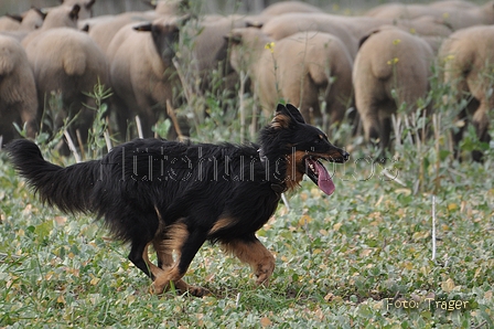 AAH Bundeshüten 2014 / Bild 57 von 175 / 20.09.2014 15:07 / DSC_4410.JPG