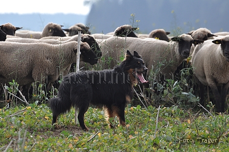 AAH Bundeshüten 2014 / Bild 60 von 175 / 20.09.2014 15:20 / DSC_4582.JPG