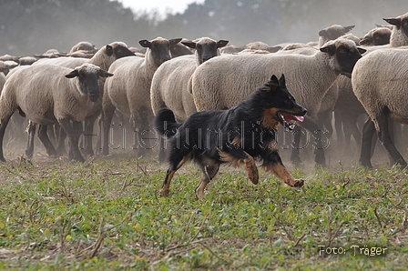 AAH Bundeshüten 2014 / Bild 61 von 175 / 20.09.2014 15:21 / DSC_4602.JPG