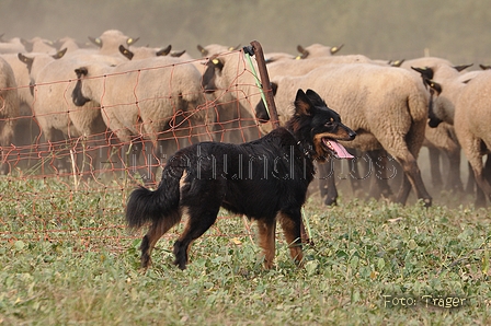 AAH Bundeshüten 2014 / Bild 62 von 175 / 20.09.2014 15:24 / DSC_4646.JPG