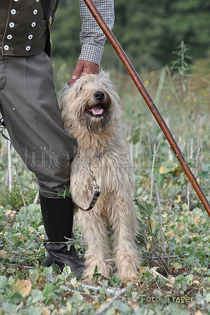 AAH Bundeshüten 2014 / Bild 64 von 175 / 20.09.2014 15:44 / DSC_4736.JPG