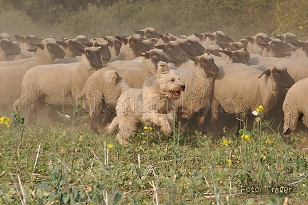 AAH Bundeshüten 2014 / Bild 67 von 175 / 20.09.2014 16:00 / DSC_4803.JPG