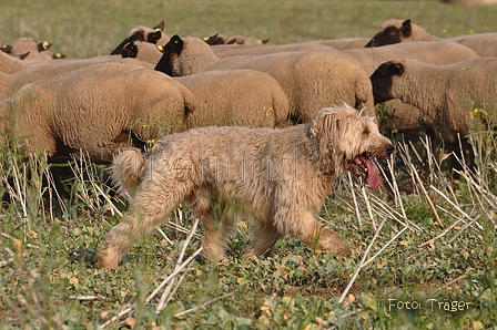 AAH Bundeshüten 2014 / Bild 73 von 175 / 20.09.2014 16:24 / DSC_5150.JPG