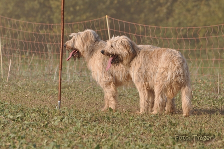 AAH Bundeshüten 2014 / Bild 75 von 175 / 20.09.2014 16:29 / DSC_5268.JPG