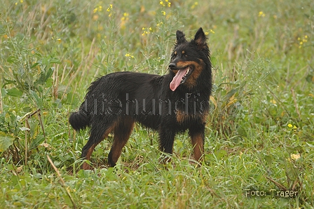 AAH Bundeshüten 2014 / Bild 95 von 175 / 21.09.2014 09:41 / DSC_6471.JPG