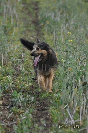 AAH Bundeshüten 2014 / Bild 157 von 175 / 21.09.2014 16:15 / DSC_9528.JPG