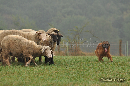 AAH Bundeshüten 2016 / Bild 45 von 163 / 17.09.2016 15:40 / DSC_2663.JPG