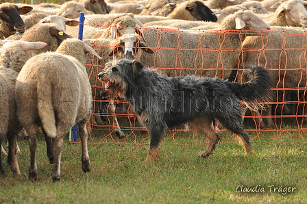 AAH Bundeshüten 2016 / Bild 59 von 163 / 18.09.2016 08:50 / DSC_3551.JPG