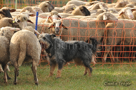 AAH Bundeshüten 2016 / Bild 60 von 163 / 18.09.2016 08:51 / DSC_3553.JPG