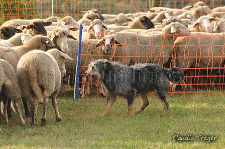 AAH Bundeshüten 2016 / Bild 61 von 163 / 18.09.2016 08:51 / DSC_3554.JPG