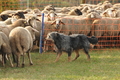 AAH Bundeshüten 2016 / Bild 61 von 163 / 18.09.2016 08:51 / DSC_3554.JPG