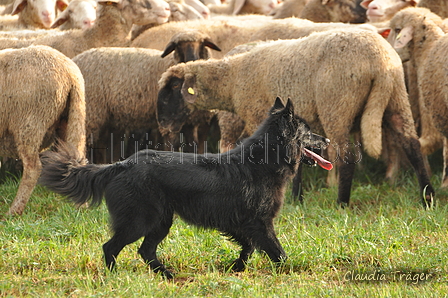 AAH Bundeshüten 2016 / Bild 63 von 163 / 18.09.2016 09:13 / DSC_3744.JPG