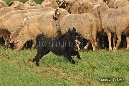 AAH Bundeshüten 2016 / Bild 66 von 163 / 18.09.2016 09:17 / DSC_3800.JPG