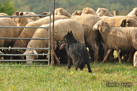 AAH Bundeshüten 2016 / Bild 69 von 163 / 18.09.2016 09:18 / DSC_3836.JPG