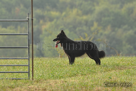 AAH Bundeshüten 2016 / Bild 71 von 163 / 18.09.2016 09:21 / DSC_3901.JPG