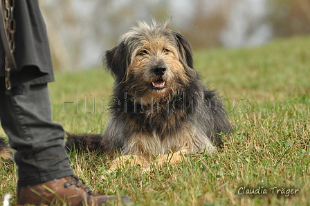 AAH Bundeshüten 2016 / Bild 75 von 163 / 18.09.2016 09:50 / DSC_4173.JPG