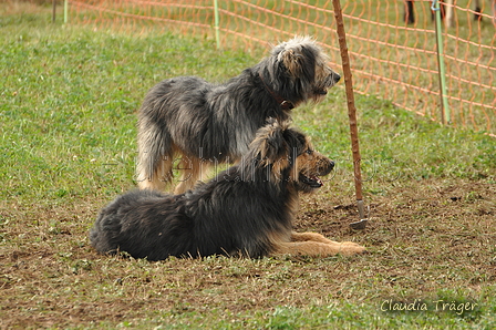 AAH Bundeshüten 2016 / Bild 81 von 163 / 18.09.2016 10:04 / DSC_4282.JPG