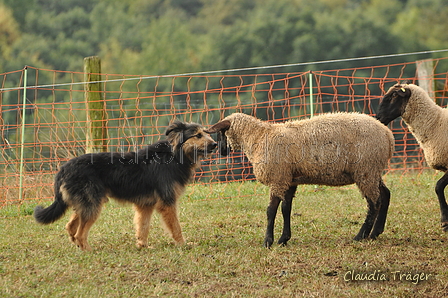 AAH Bundeshüten 2016 / Bild 85 von 163 / 18.09.2016 10:08 / DSC_4303.JPG