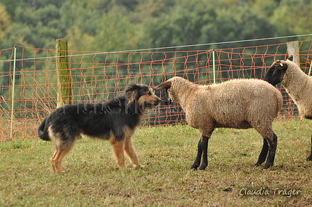 AAH Bundeshüten 2016 / Bild 87 von 163 / 18.09.2016 10:08 / DSC_4305.JPG