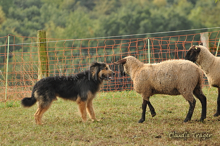 AAH Bundeshüten 2016 / Bild 88 von 163 / 18.09.2016 10:08 / DSC_4306.JPG