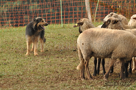 AAH Bundeshüten 2016 / Bild 90 von 163 / 18.09.2016 10:09 / DSC_4319.JPG