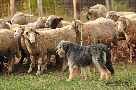 AAH Bundeshüten 2016 / Bild 91 von 163 / 18.09.2016 10:09 / DSC_4320.JPG